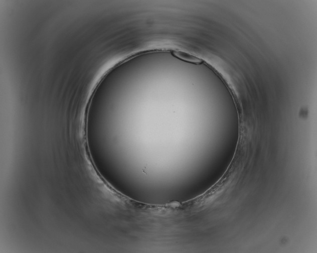 X0000096980815200802151329