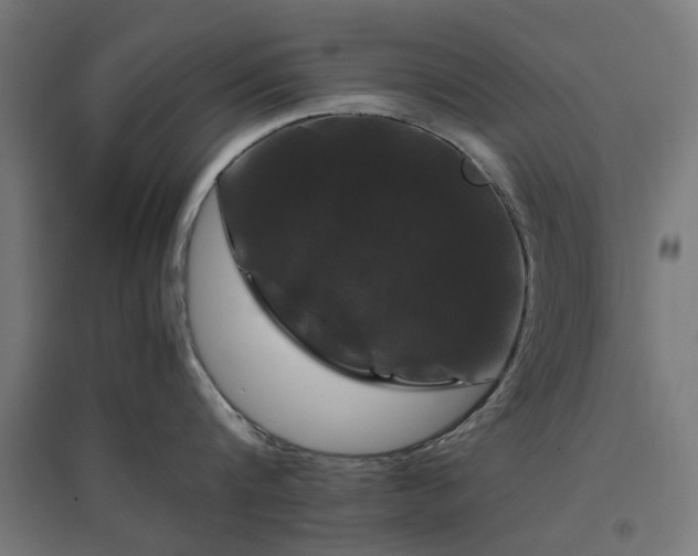 X0000096980816200802151329