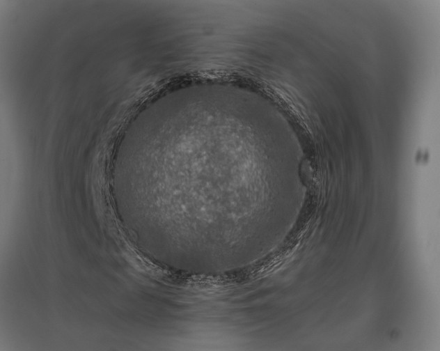 X0000096980817200802151328