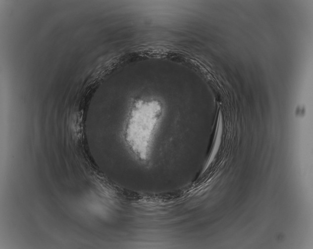 X0000096980818200802151328