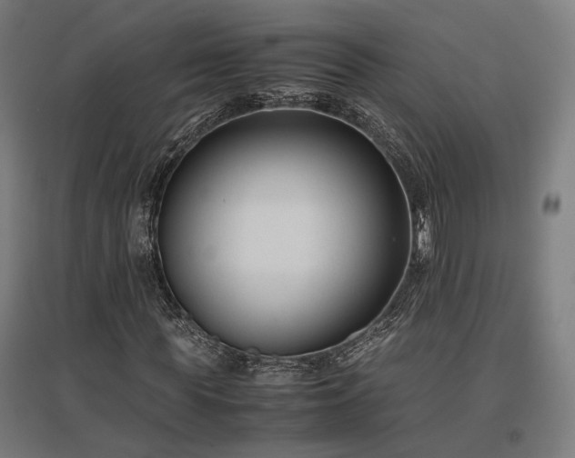 X0000096980819200802151328