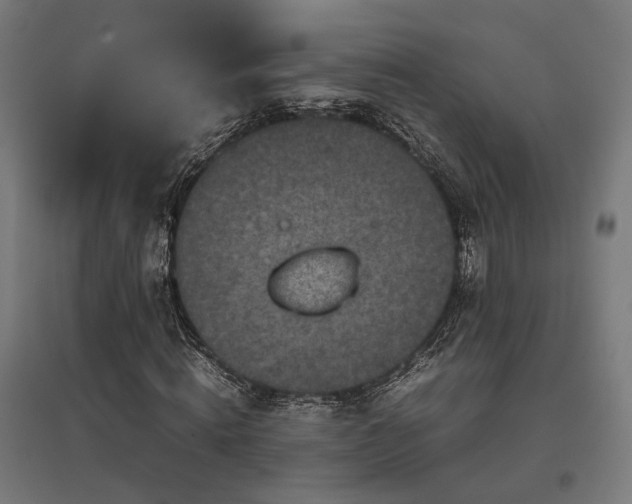 X0000096980820200802151328