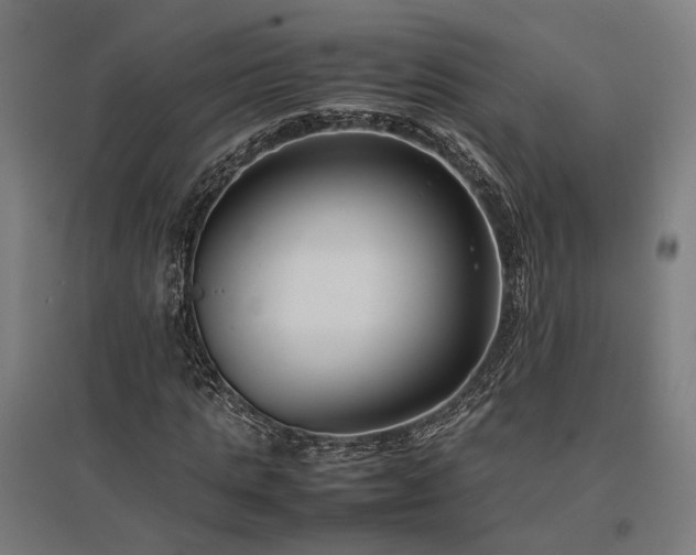 X0000096980821200802151328