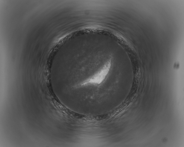 X0000096980822200802151328