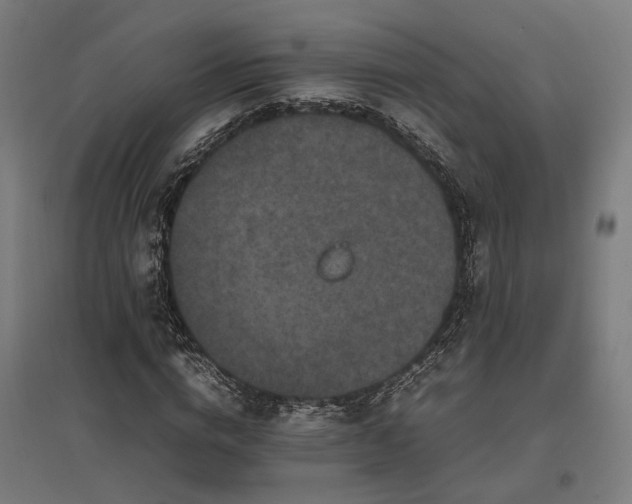 X0000096980824200802151328