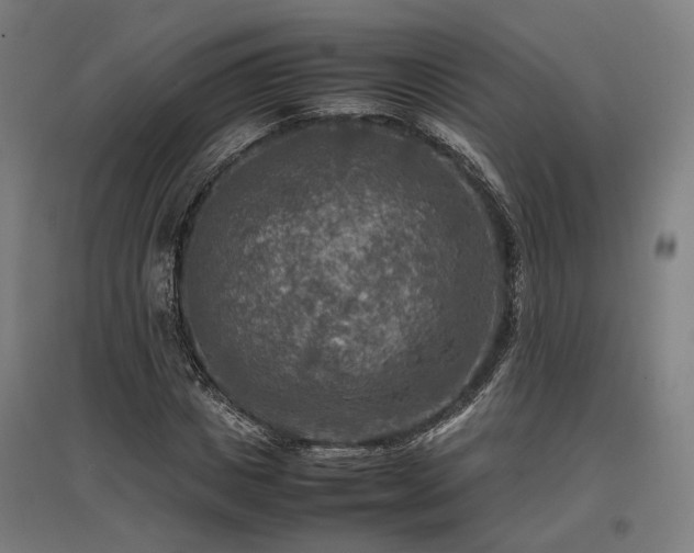 X0000096980825200802151328