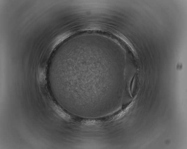 X0000096980826200802151328