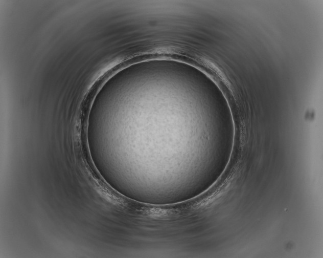 X0000096980827200802151328