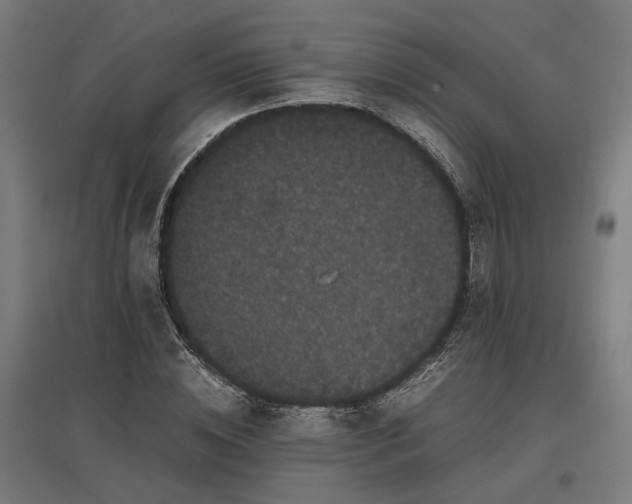 X0000096980828200802151328