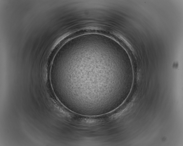 X0000096980829200802151328