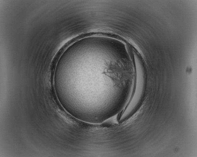 X0000096980830200802151328