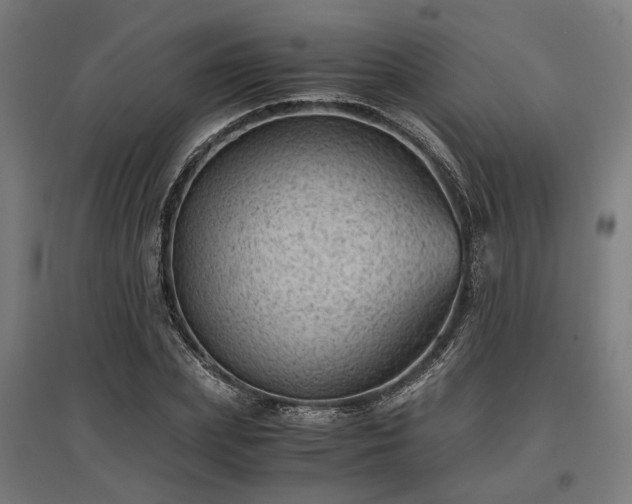 X0000096980831200802151328