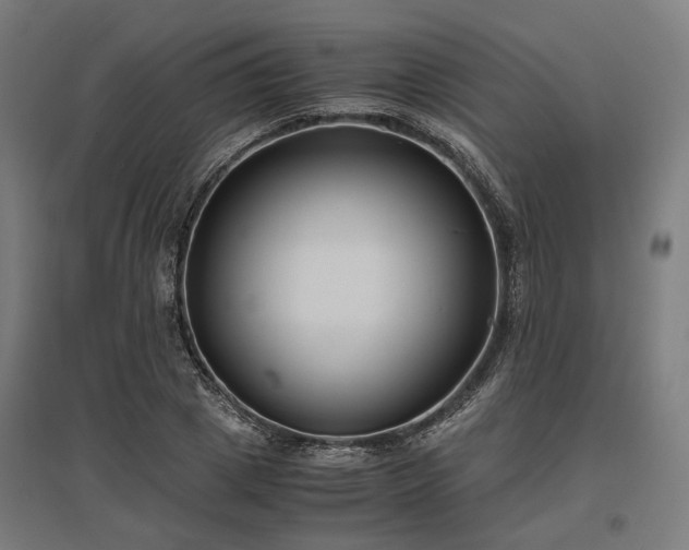 X0000096980833200802151328