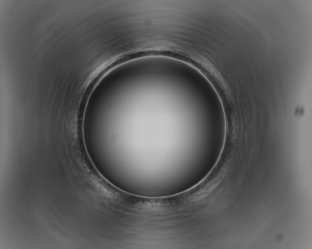 X0000096980834200802151328