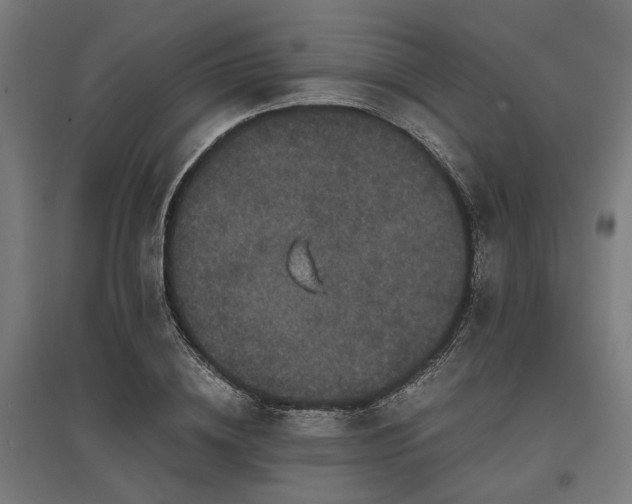 X0000096980836200802151328