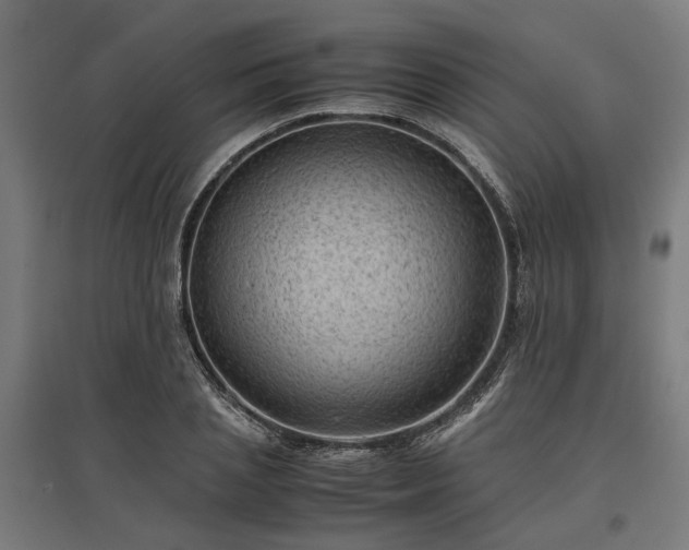 X0000096980837200802151328