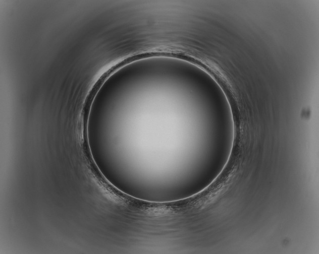 X0000096980838200802151328