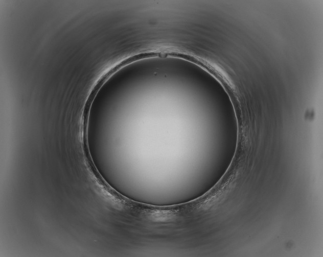 X0000096980839200802151328