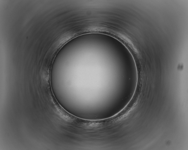 X0000096980841200802151329