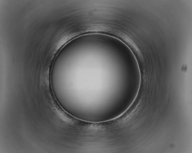 X0000096980842200802151329