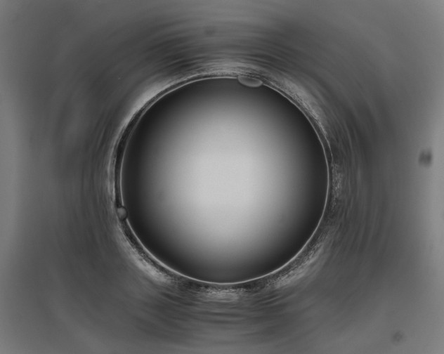 X0000096980843200802151329