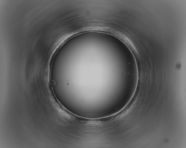 X0000096980844200802151329