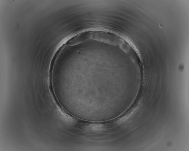 X0000096980845200802151329