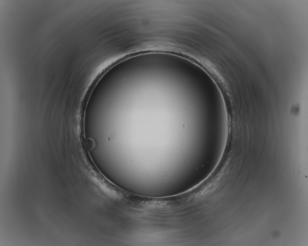 X0000096980846200802151329