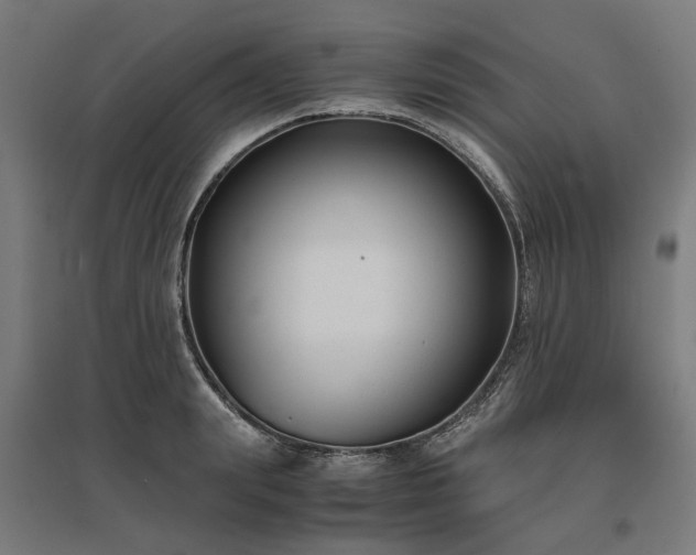 X0000096980847200802151329