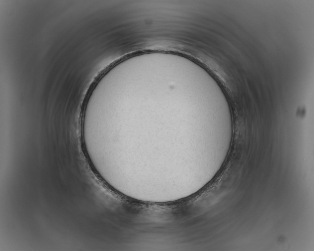 X0000096980848200802151329