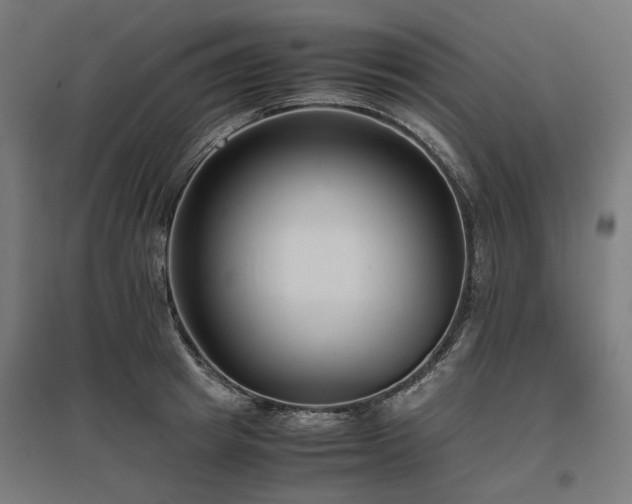 X0000096980849200802151329