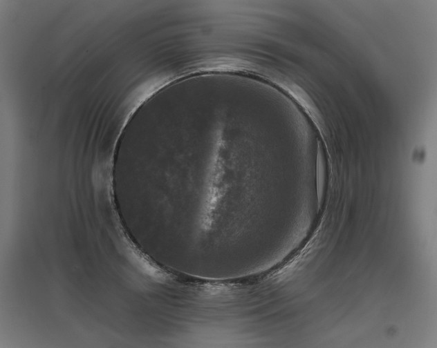 X0000096980850200802151329