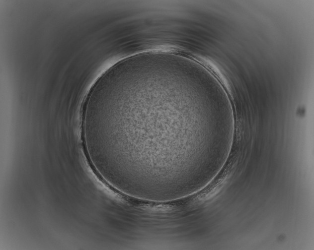 X0000096980851200802151329