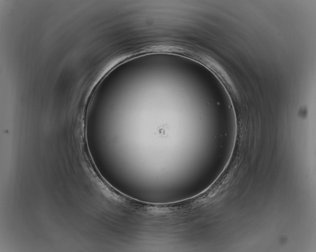 X0000096980852200802151329