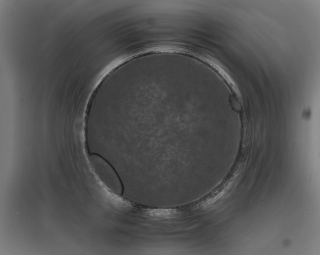 X0000096980853200802151329