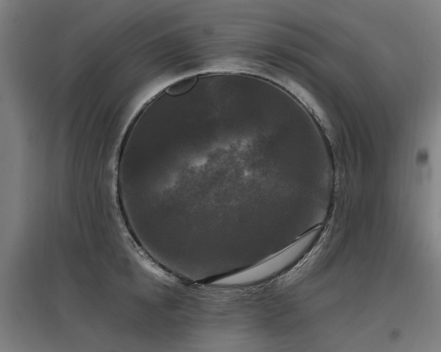 X0000096980854200802151329