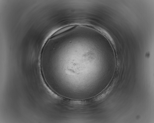 X0000096980855200802151329