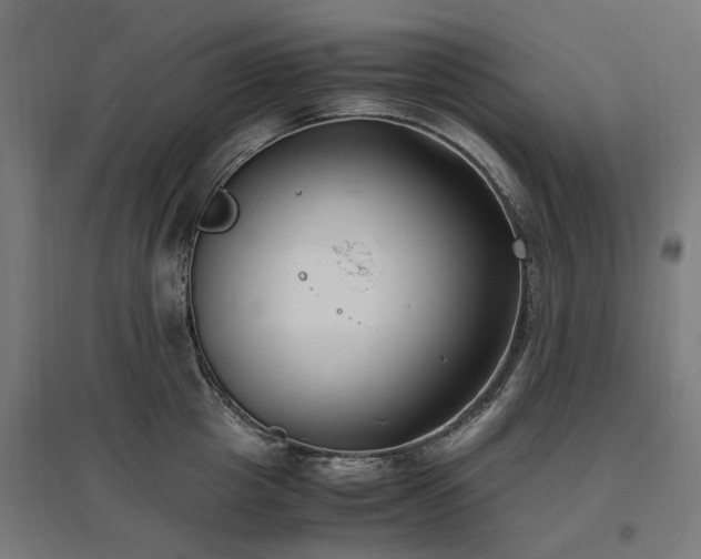 X0000096980857200802151329