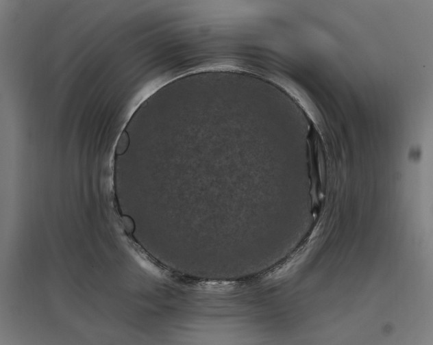 X0000096980858200802151329