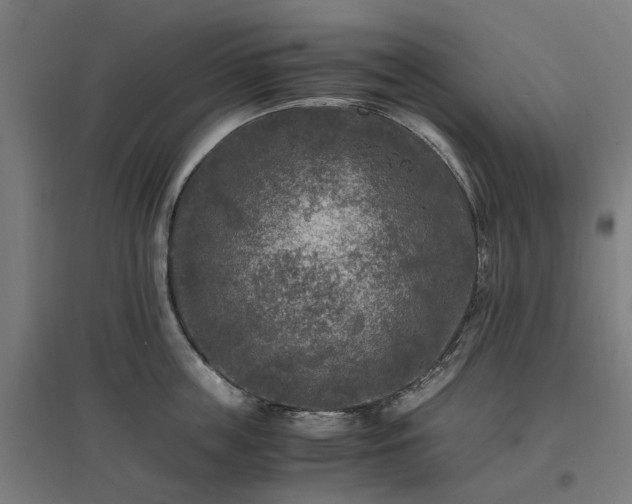 X0000096980859200802151329