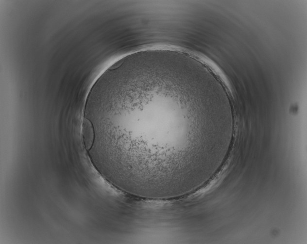 X0000096980860200802151329