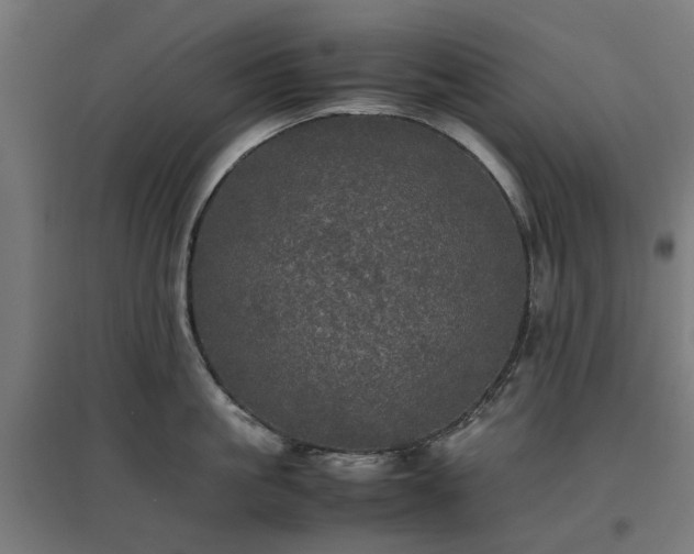 X0000096980861200802151329