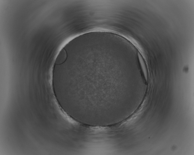 X0000096980862200802151329