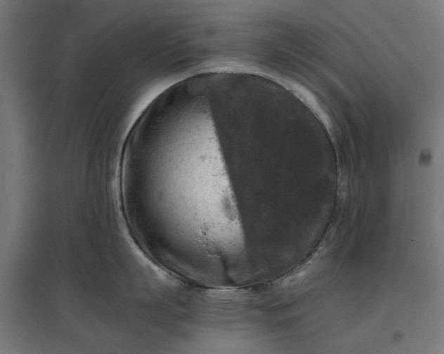 X0000096980863200802151329