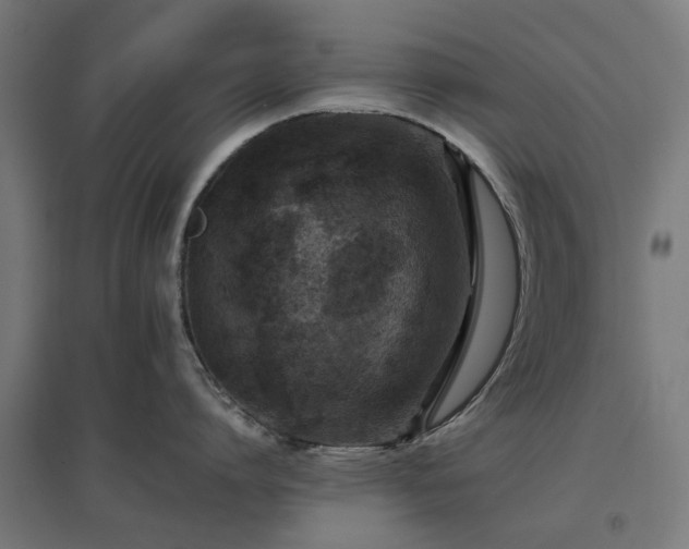 X0000096980864200802151329