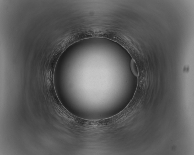 X0000096980866200802151328