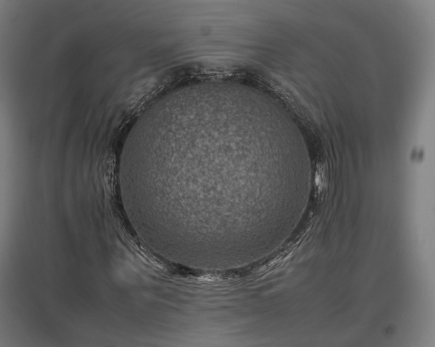 X0000096980867200802151328