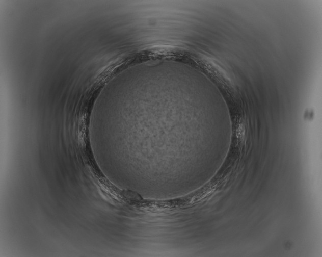 X0000096980868200802151328