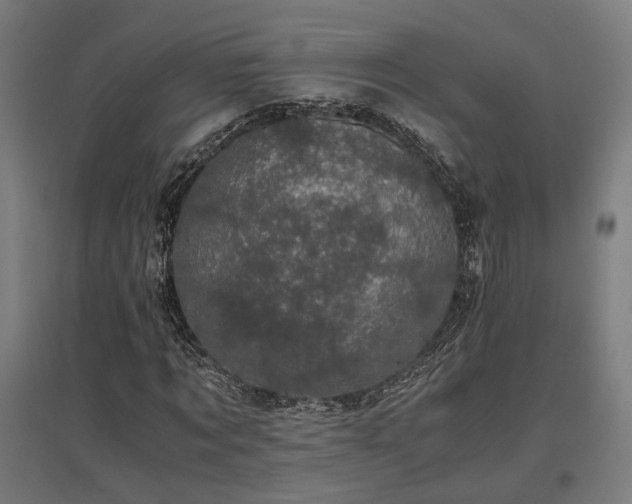 X0000096980869200802151328