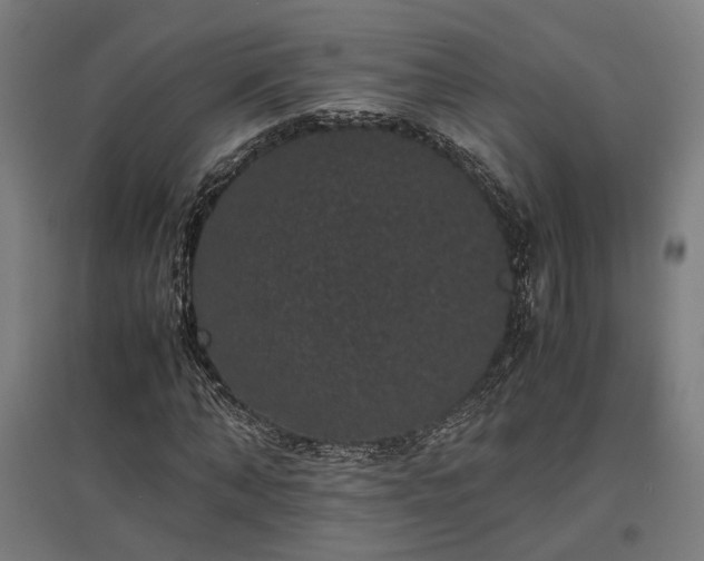 X0000096980870200802151328